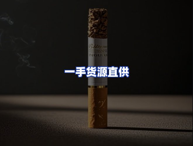 专业团队